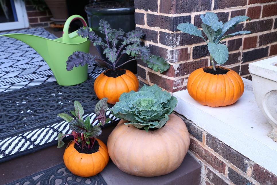 diy Planter Pumpkins