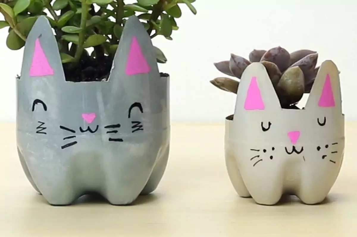 CatPlanters