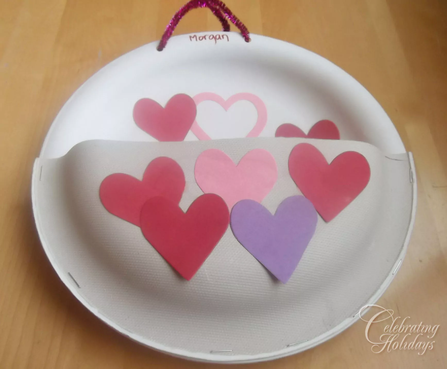 PaperPlateHangingStorageBox
