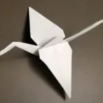 Creating Origami Cranes: A Step-by-Step Guide